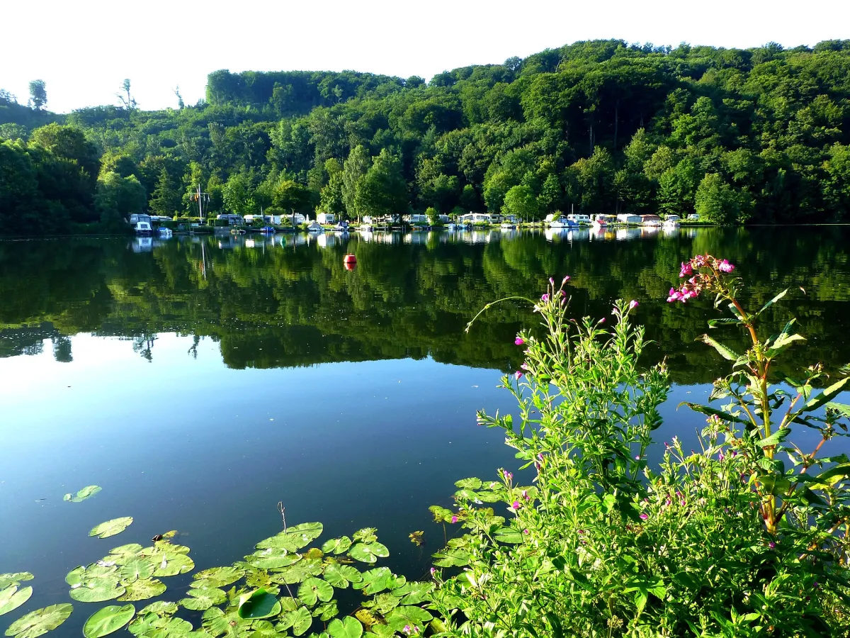 Die Ruhr zwischen Kettwig und Werden, bewaldete Ufer spiegeln sich im Wasser