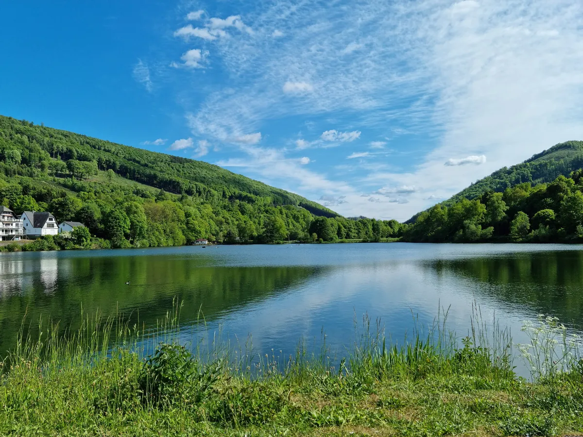 Stausee Olsberg mit bewaldeten Bergen