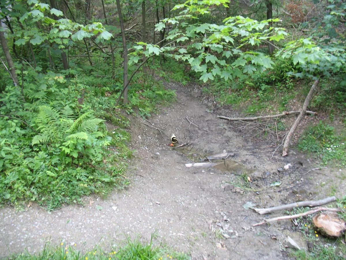 Waldweg zur eigentlichen Ruhrquelle am Ruhrkopf